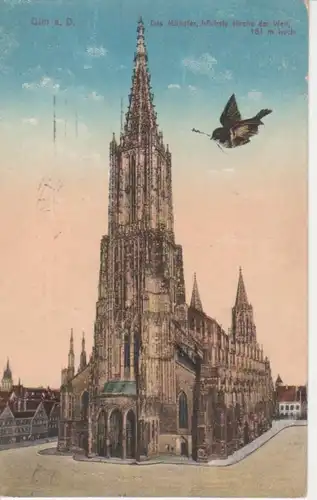 Ulm Münster gl1914 71.533