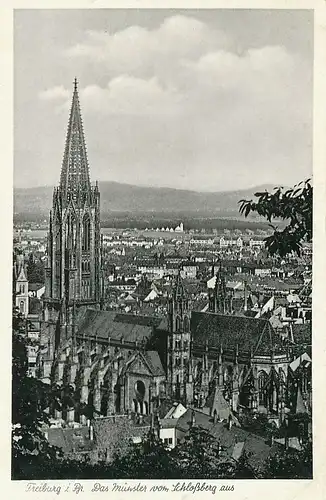 Freiburg Das Münster vom Schlossberg gl1954 134.402