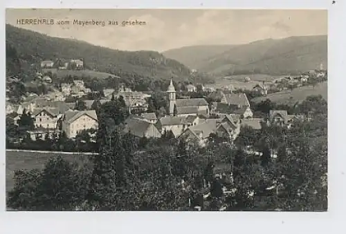 Herrenalb vom Mayenberg aus gesehen gl1916 31.522