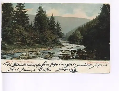 Harz Partie im Sieberthal gl1904 18.573