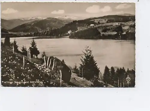 Titisee (Schwarzwald) gl1957 13.337