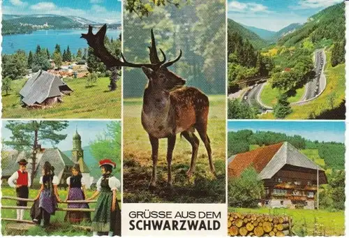 Grüsse aus dem Schwarzwald Mehrbild-AK gl1965 21.630