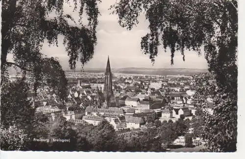 Freiburg i. Br. Gesamtansicht gl1963 71.494