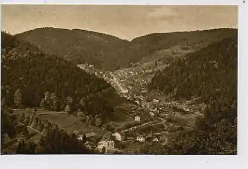 Triberg im Schwarzwald ngl 31.687