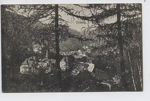 Triberg - Teilansicht gl1923 31.540