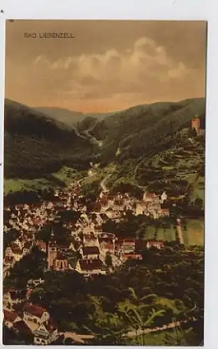 Bad Liebenzell- Teilansicht gl1928 31.854