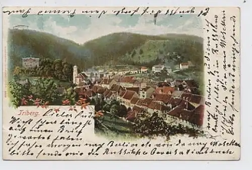 Triberg Litho Gesamtansicht gl1900 30.911