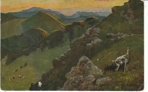 Belchen Hochkehl geg. Blauen H.HOFFMANN gl1924 21.632