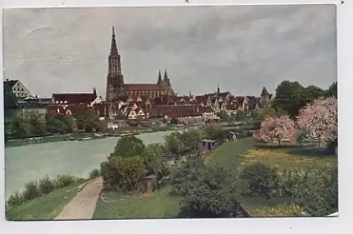 Ulm a.d. Donau - Teilansicht gl1917 31.953