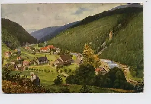 Schönmünzach, Murgtal ngl 31.608