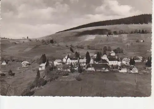 Todtnauberg Gesamtansicht Fotokarte gl1959 71.495