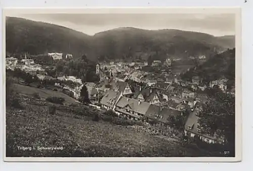 Triberg Gesamtansicht ngl 30.903