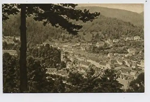 Triberg (Schw) - Blick vom Kapellenberg ngl 31.686