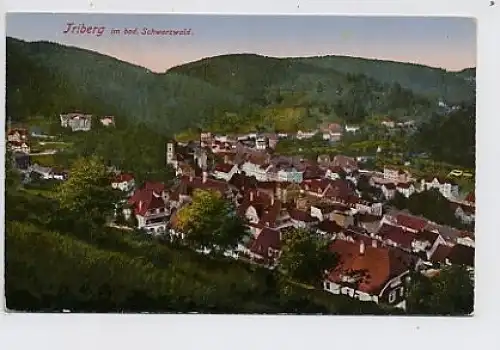 Triberg im bad. Schwarzwald-Teilansicht gl1944 31.589