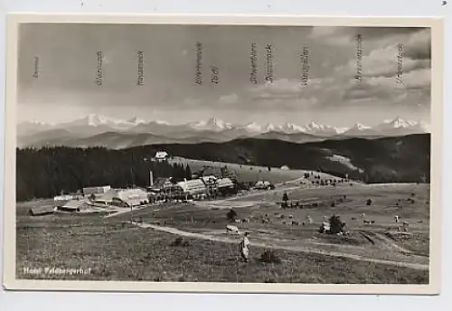 Feldberg Hotel Feldbergerhof Alpenpanorama ngl 31.354