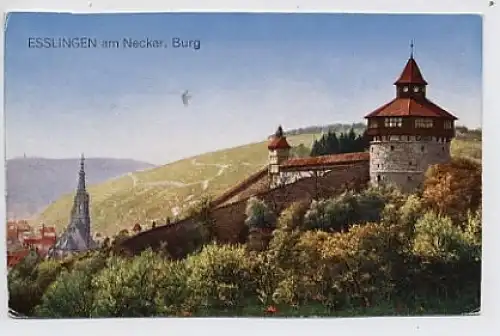 Esslingen Burg ngl 31.464