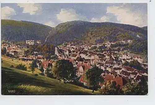 Triberg Gesamtansicht ngl 30.909