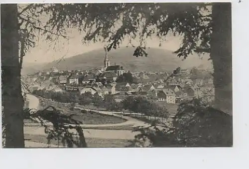 Neustadt im Schwarzwald - Teilansicht ngl 31.544