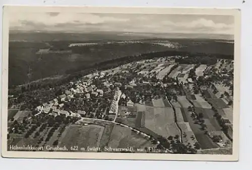 Grunbach vom Flugzeug aus gl1931 30.943