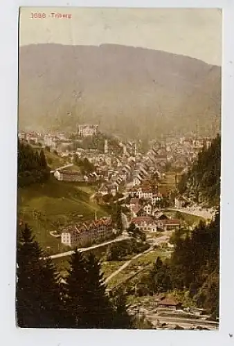 Triberg Gesamtansicht gl1908 30.907