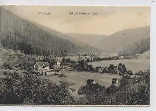 Wildbad im Schw.-Blick auf Windhof,Enztal gl1913 31.801