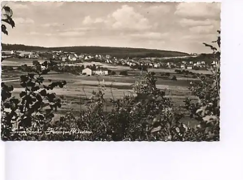 Fussingen Westerwald Ansicht gl1965? 19.480