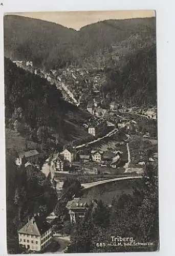 Triberg im Schwarzwald ngl 31.688