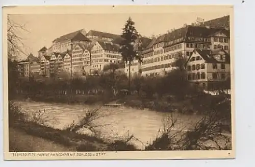Tübingen -Partie am Neckar mit Schloß,Stift ngl 31.994