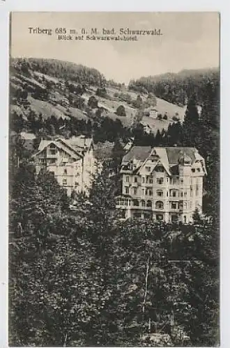 Triberg - Blick auf Schwarzwaldhotel gl1912 31.811