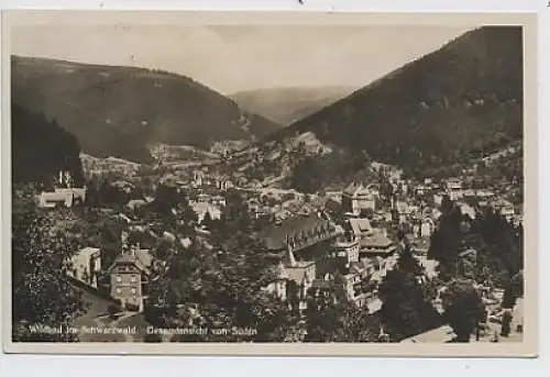 Wildbad im Schw.-Gesamtansicht von Süden gl1929 31.941