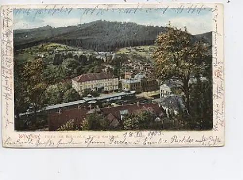 Wildbad Partie Bellevue König Karlsbad gl1903 14.068