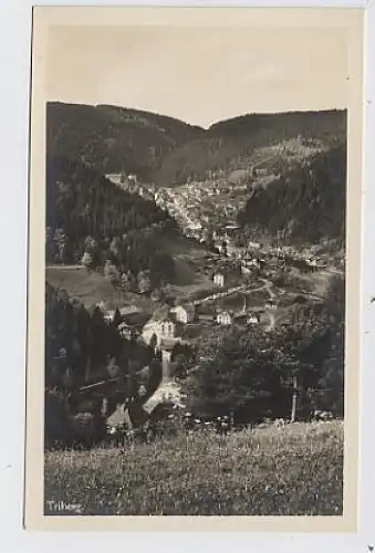 Triberg im Schwarzwald - Teilansicht ngl 31.932