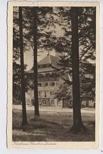 Kniebis-Lamm Kurhaus gl1929 31.239