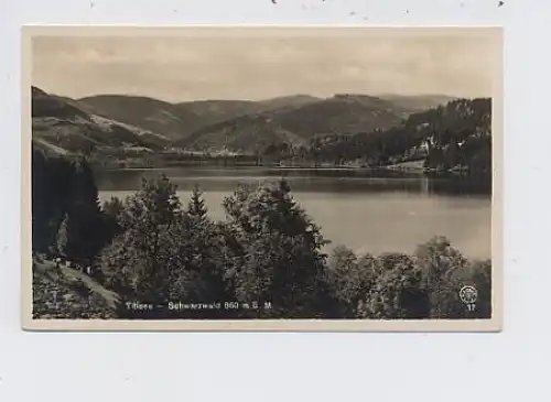 Titisee Gesamtansicht ngl 36.449