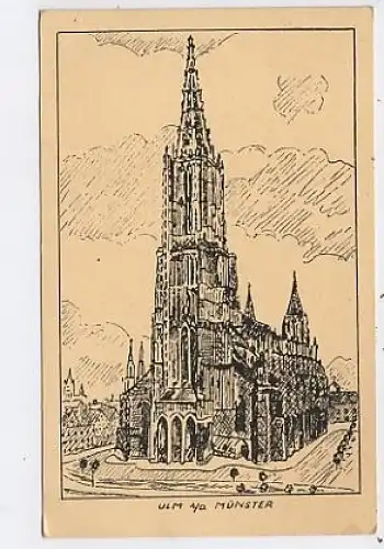 Ulm a.D. Münster Künstler-AK ngl 40.594