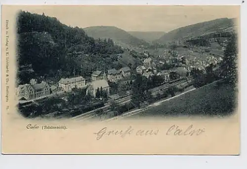 Calw Totalansicht gl1898 31.048