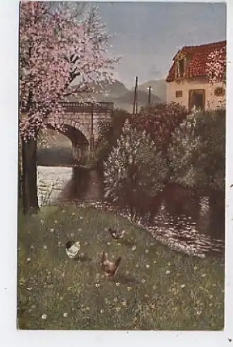 Es blüht an der Brücke DR.V.REICHL gl1918 41.068