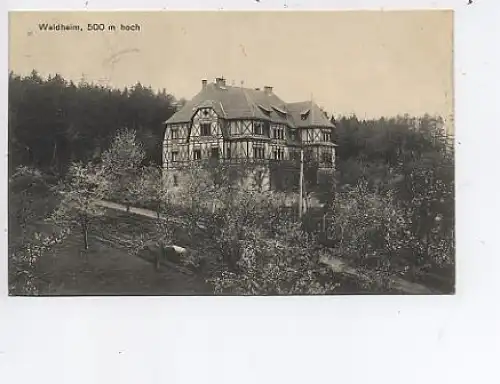 Waldheim, bei Obernzenn, Diakonieheim gl1913 40.237