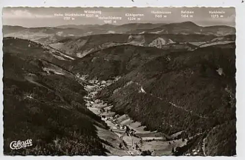 Feldberg im Schwarzwald-Blick ins Wiesental ngl 35.818