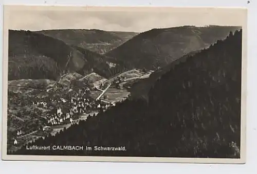 Calmbach Gesamtansicht gl1931 31.122