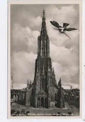 Ulm a.D. Münster Vogel ngl 40.597