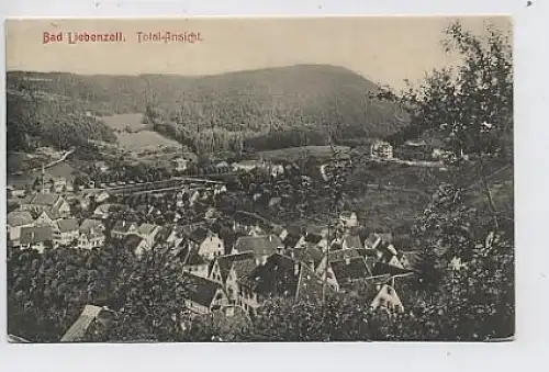 Bad Liebenzell - Total-Ansicht gl1909 31.182