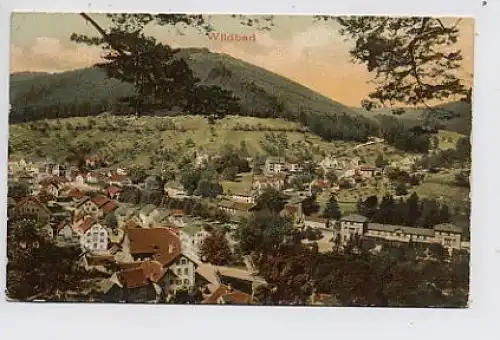 Wildbad Gesamtansicht glca.1910 31.125