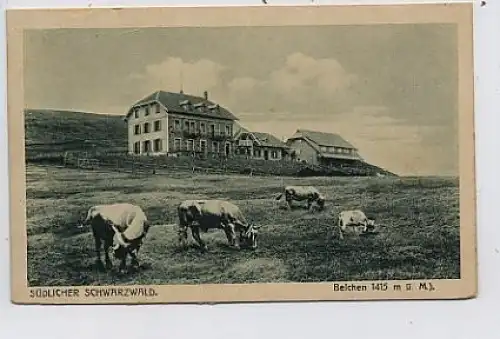 Belchen Landschaft mit Gehöft ngl 36.348