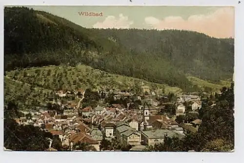 Wildbad Gesamtansicht ngl 32.249