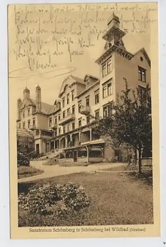 Schömberg b.Wildbad Sanatorium feldpgl1918 30.880