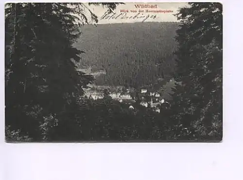 Wildbad Blick von der Heermannsplatte gl1913 14.166