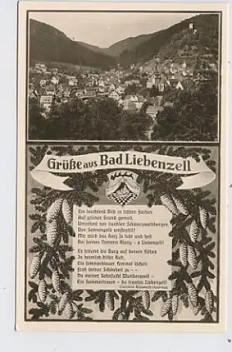 Bad Liebenzell Gesamtansicht Gedicht FotoAK ngl 32.200