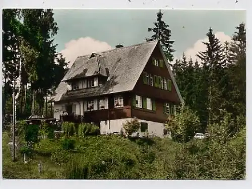 Hinterzarten Haus Waldrose glca.1960 36.433