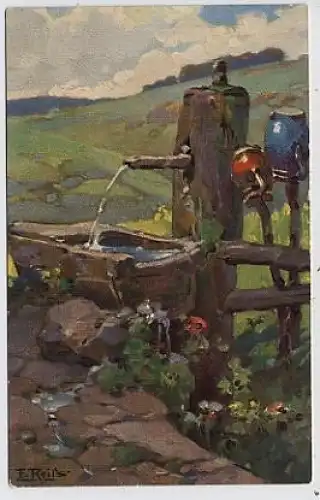 Fr. Reiss Schwarzwald-Quellen ngl 35.936